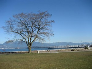 Peace Circle Vancouver Michael Beckwith Diana Walker