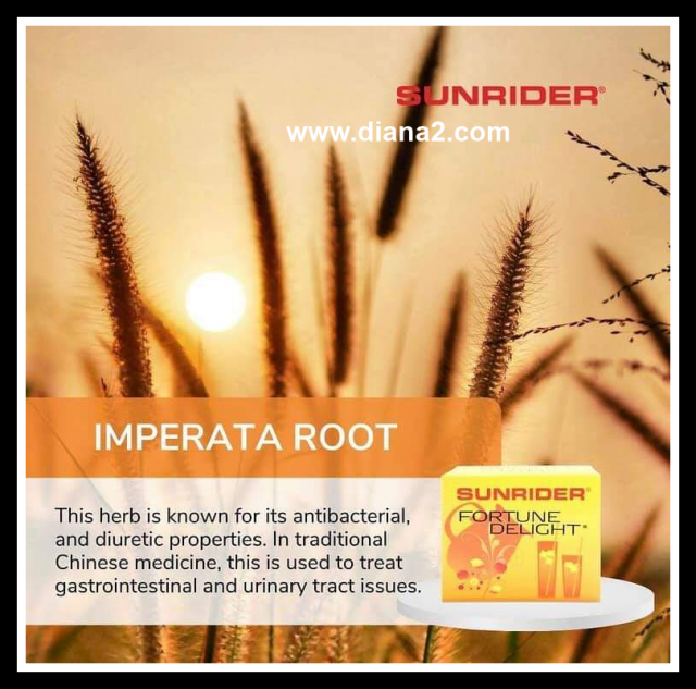 Sunrider Fortune Delight for Digestion Imperata Root