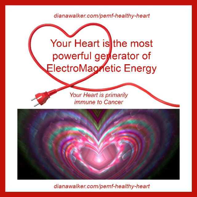 PEMF Healthy Heart ElectroMagnetic Energy Diana Walker Omnium1