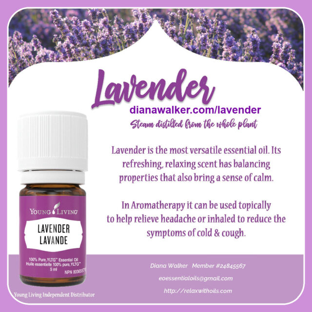 Lavender Essential Oil Young Living Diana Walker Relax