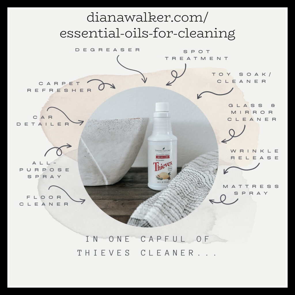Essential Oils for Cleaning Thieves Young Living Diana Walker