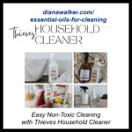 Essential Oils for Cleaning Thieves Young Living