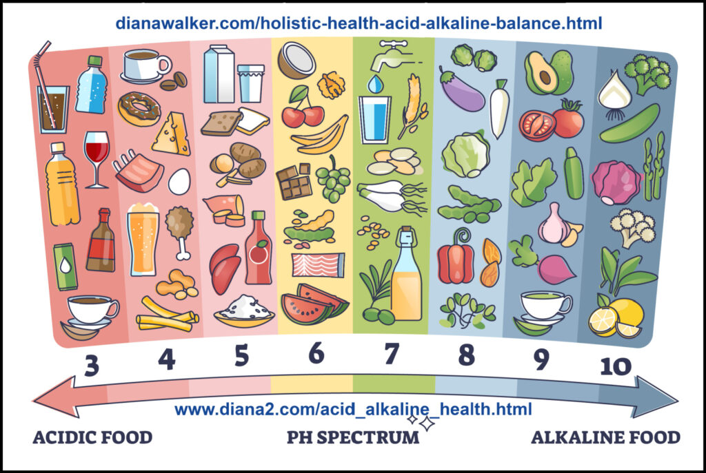 Holistic Health Acid Alkaline Balance Diana Walker Sunrider