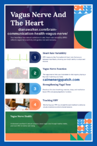 Brain Communication Health Vagus Nerve